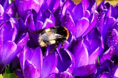 Sind die Hormone schuld?